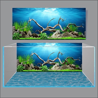 Decal dán hồ cá 3D siêu đẹp_ giá rẻ
