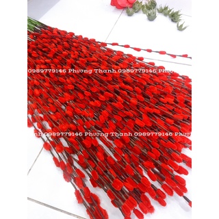 Nụ tầm xuân làm sẵn bằng kẽm nhung