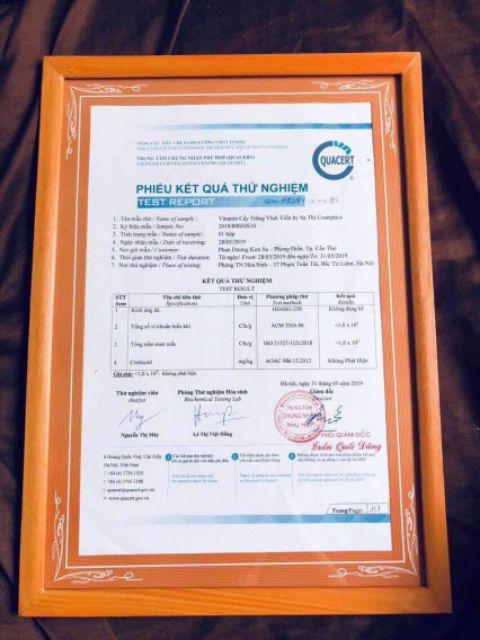 1200 Viên VTM Cấy Trắng Sa Thị - Chính Hãng | BigBuy360 - bigbuy360.vn