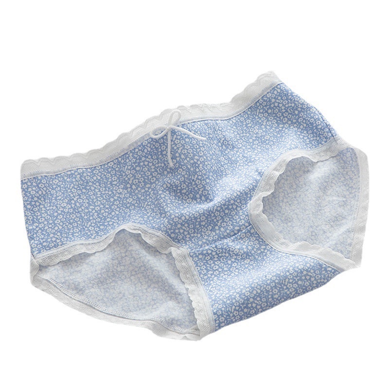 Quần lót cotton Viền Ren hoạ tiết dễ thương A2