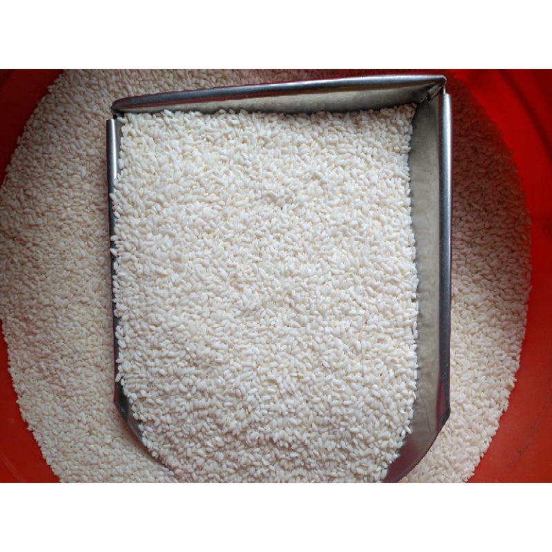 Nếp nương,đồi hạt to.