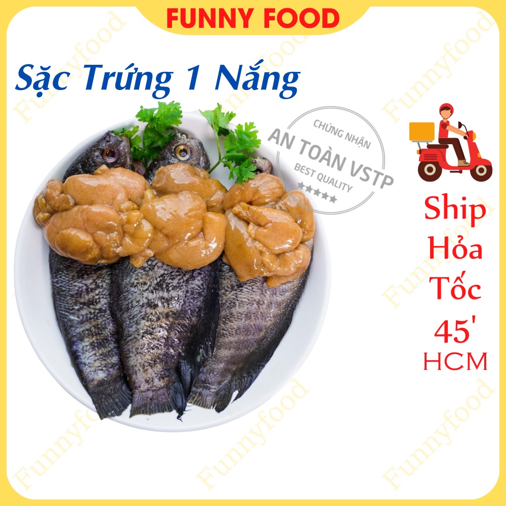 Cá Sặc Trứng 1 Nắng Trứng Cá Sặc Ngon Cà Mau Ship Hỏa Tốc HCM Funnyfood