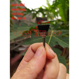 bàn chải đuôi ngựa