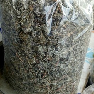 Chè dây rừng ( loại đep )
