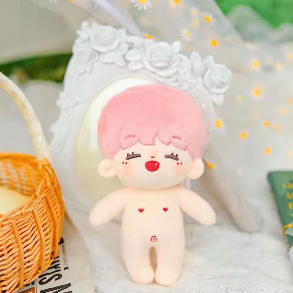 Doll Hạ Tuấn Lâm 10cm 15cm 20cm - Búp bê Hạ Tuấn Lâm TNT Thời đại thiếu niên đoàn Teens In Times