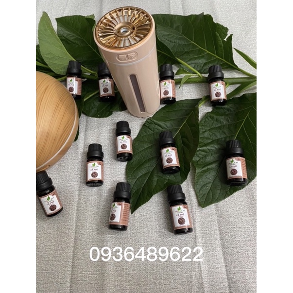 Tinh Dầu cafe chất 100% xông phòng Hoa Linh 10ML