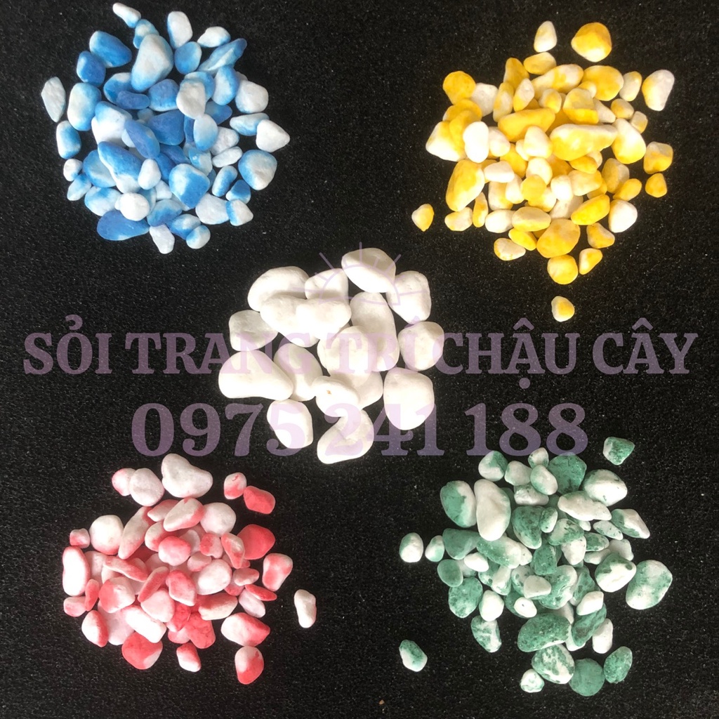 1Kg Đá Sỏi Trang Trí Chậu Cây, Sỏi Trang Trí Sân Vườn Nhiều Màu Kích Thước 1 - 2Cm
