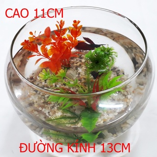 Bể cá tròn nhỏ ht3 13x13x11cm - hồ cá để bàn - chậu cá thủy tinh
