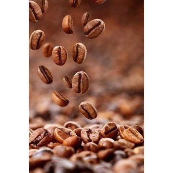 500Gr Cà Phê Rang Mộc Nguyên Chất  Arabica Cầu Đất THP