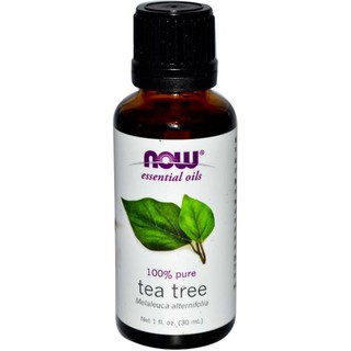 Tinh dầu tràm trà Tea Tree Oil NOW Solutions Essential Oils 30mL serum dưỡng da giảm mụn