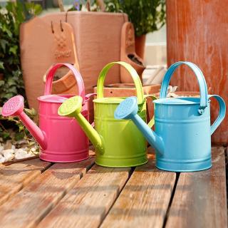 Bình Tưới Nước Bằng Sắt Dung Tích 1.5L Dùng Cho Sân Vườn / Chậu Hoa Sen Đá