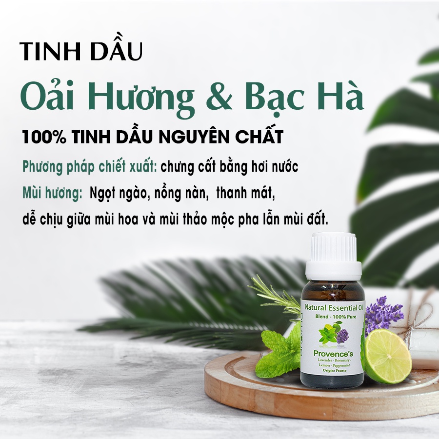 Tinh Dầu Xông AROMA Oải Hương Bạc Hà 10ml