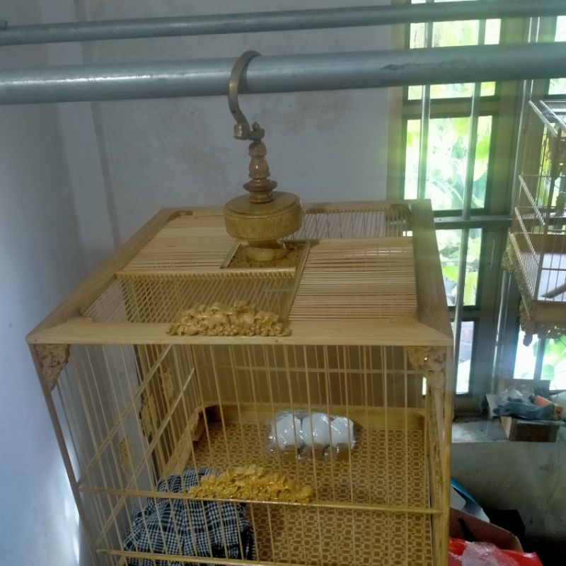 Lồng Chim chào mào đục Sóc Nho tang giật cấp