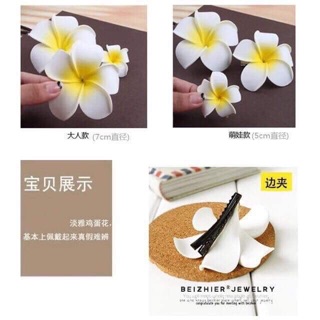 (tổng kho móng cái) (tổng kho lạng sơn) HOA ĐẠI CÀI TÓC ĐI BIỂN