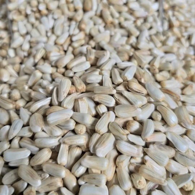 100g Hạt Kham Trắng Bổ Dưỡng Cho Hamster-Rat-Đuôi Mập