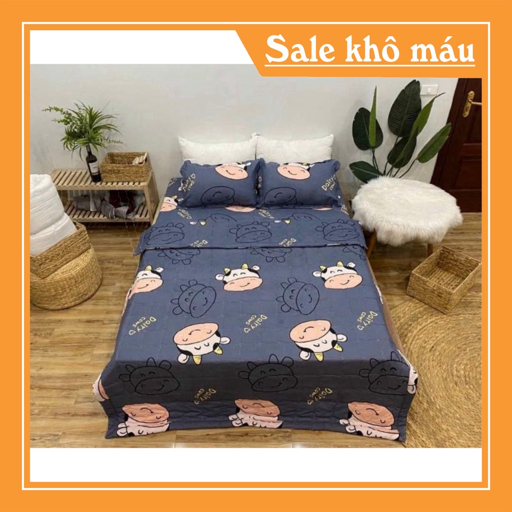 Bộ chăn hè trần bông mỏng ga gối 5 món chất liệu cotton poly đồng bộ phù hợp thời tiết thu hè | BigBuy360 - bigbuy360.vn