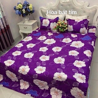 Bộ ga chun + 2 vỏ gối