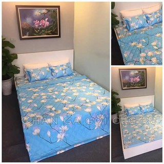 Bộ drap giường cotton lụa cao cấp sao rơi (chọn mẫu)