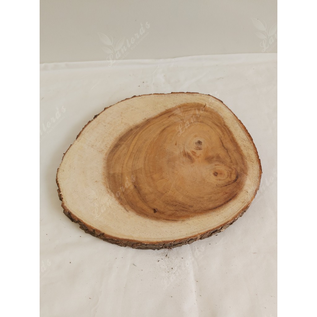 Lát gỗ me tây tự nhiên dày 3cm, đường kính 30-35cm