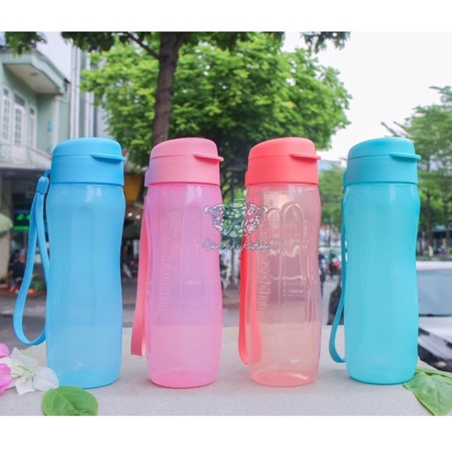 Bình nước 500ml