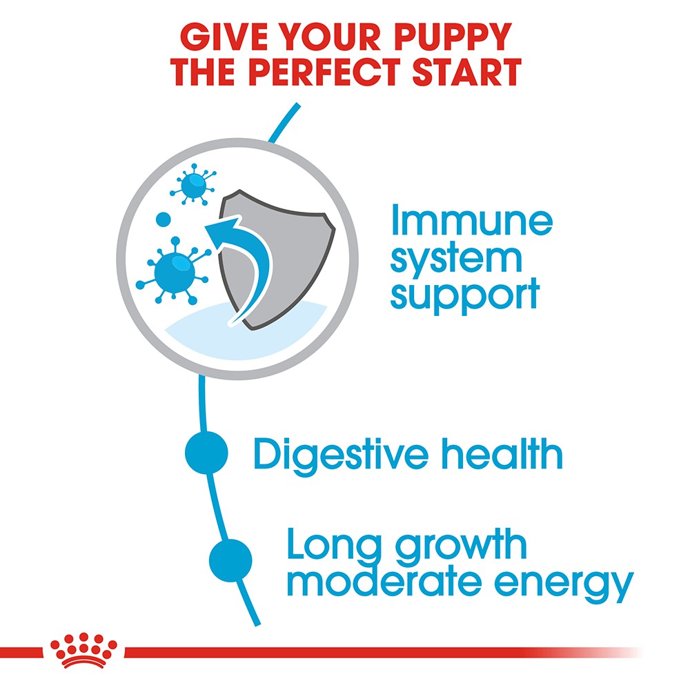 [1kg] Hạt Royal Canin Maxi Puppy Cho Chó Con Giống Lớn