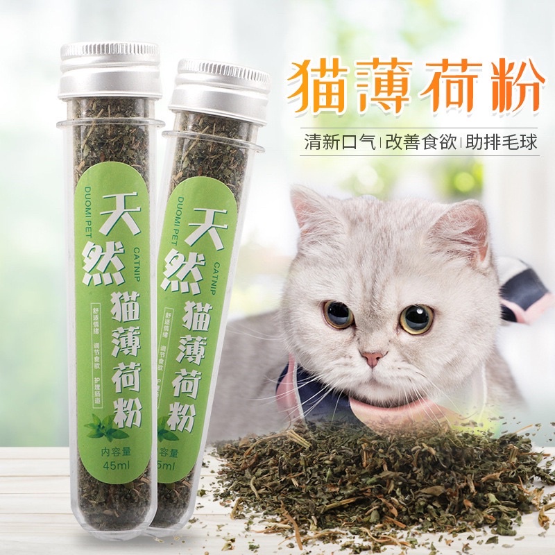 Cỏ bạc hà mèo Catnip - phê pha không biết đường về