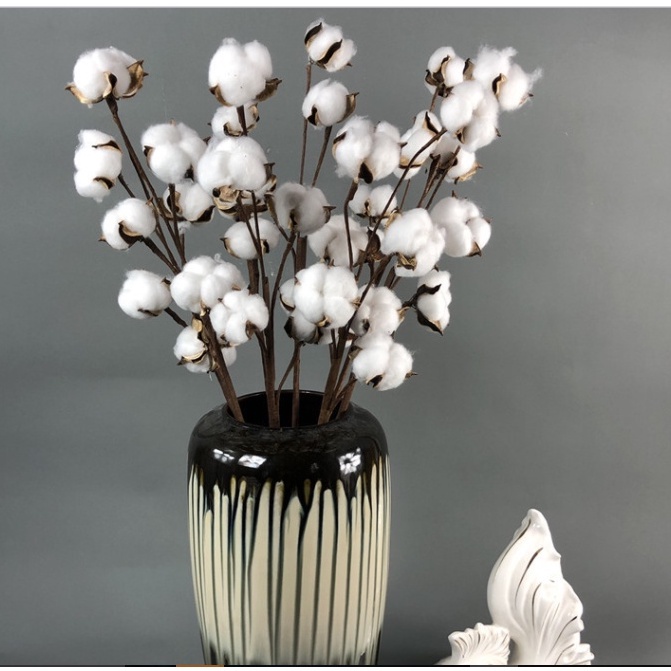 Nhánh Bông Gòn khô dài 45-55cm -Phụ kiện trang trí, phụ kiện chụp hình siêu đẹp