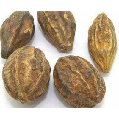 QUẢ KHA TỬ