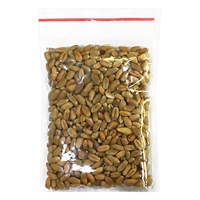 Hạt giống cỏ lúa mạch cho mèo bổ sung chất xơ,đẩy búi lông ra ngoài - 100gr