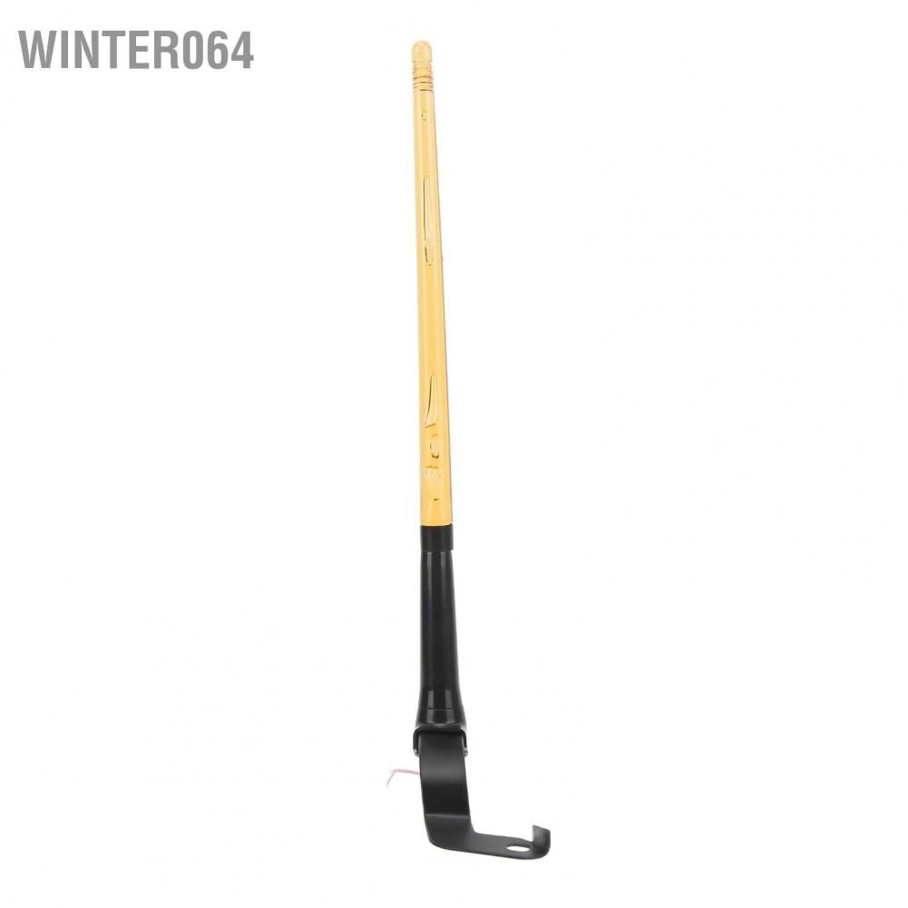 Winter064 Đèn hình roi 2 chiếc cột cờ ăng ten sáng màu hổ phách dài 340mm cho ATV UTV