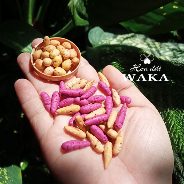 Mô hình Củ Khoai Mini- Rau Củ Quả Mini 1/12