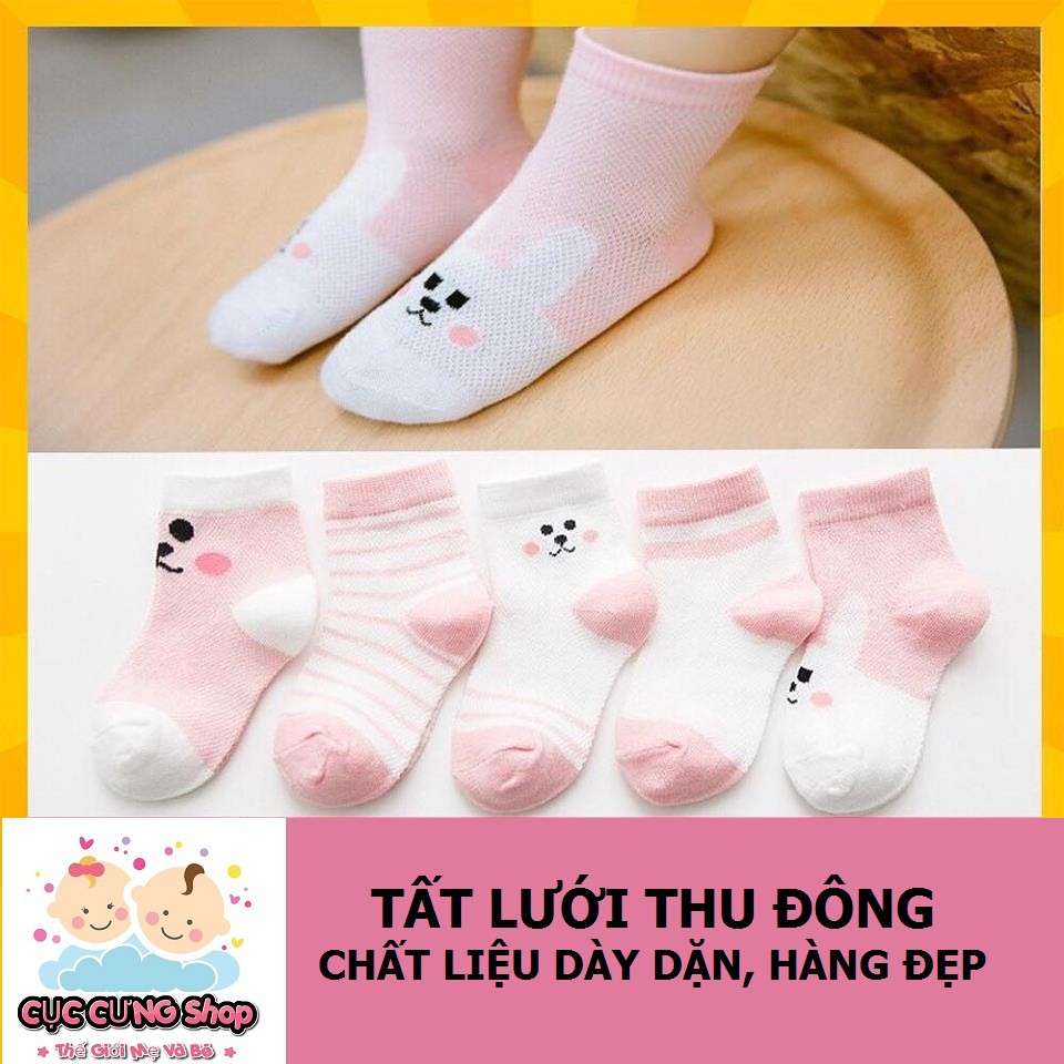 Set 5 đôi tất lưới hoạ tiết đẹp cho bé