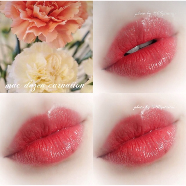 Son Mac DOZEN CARNATIONS 3g | BigBuy360 - bigbuy360.vn