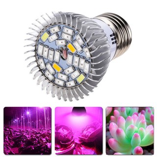 Đèn LED quang hợp E27 28W cho cây trồng thủy canh