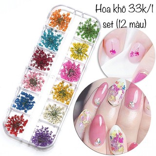 Set 24 hoa khô 3 cánh mỏng/hoa tuyết làm nail