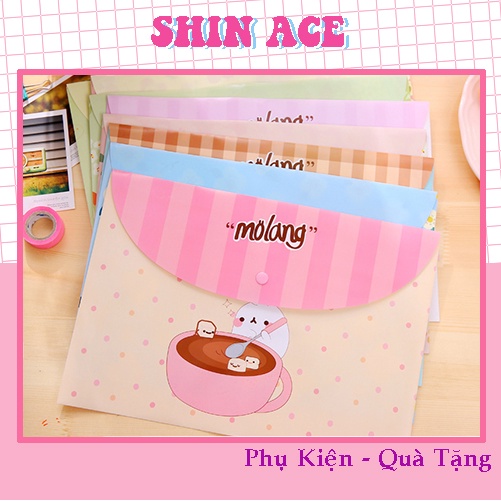 Túi đựng a4 Molang