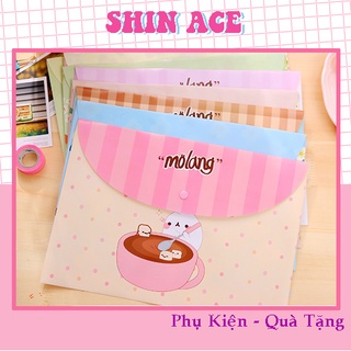 Túi đựng a4 Molang
