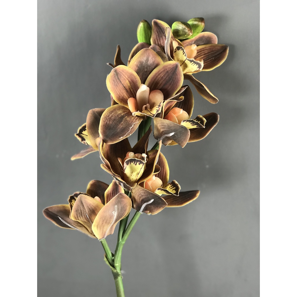 Cành địa lan màu nâu đất  - HC00055 -