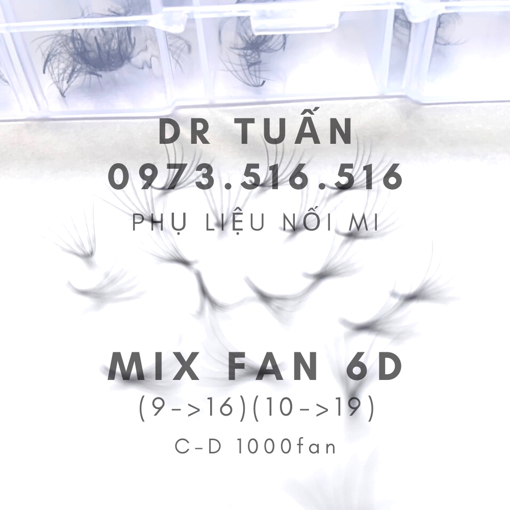 Mi FAN 6D C - D 007 MIX SIZE (9-&gt;13)mm, (1000fan)_dụng cụ nối mi_THÚY HÀ