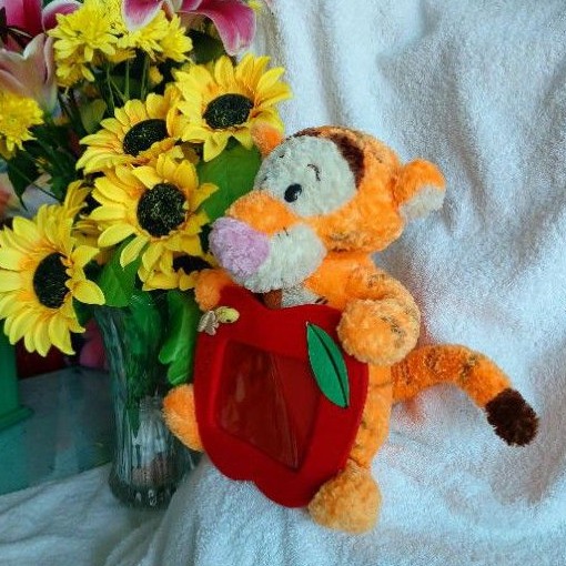 Gấu bông khung hình