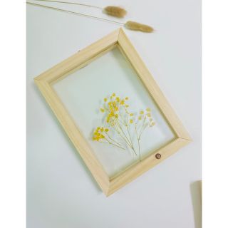 KHUNG TRANH KÍNH ÉP HOA KHÔ