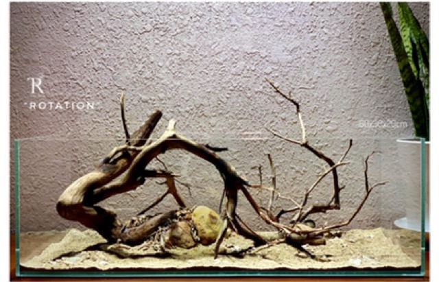 Sạn suối/sỏi suối thiên nhiên Femolay size L