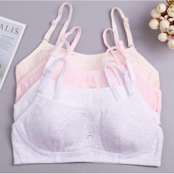 Bra / Áo Lá Cotton Nữ Sinh Cài Sau Xuất Đông Âu ( A237 ) Hàng Loại Đẹp.