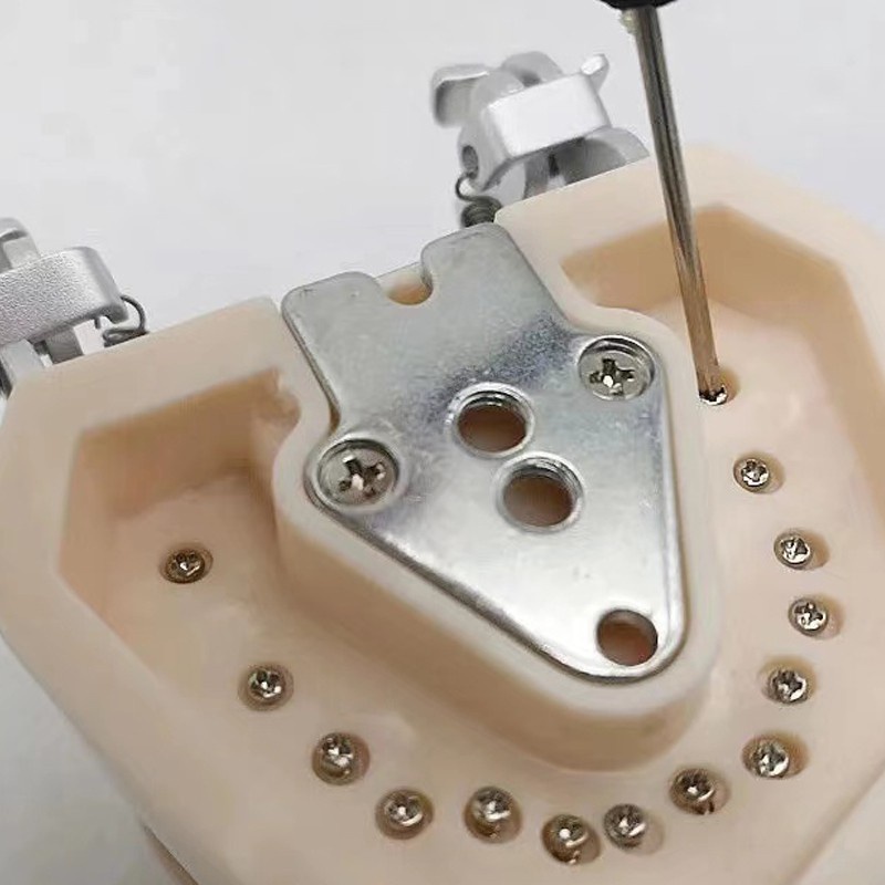 Mẫu hàm thực hành nha khoa,Mô hình mài cùi  28 răng