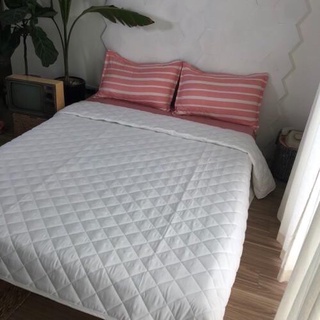 Ruột chăn hè mỏng 2m-2m2 hàng đẹp