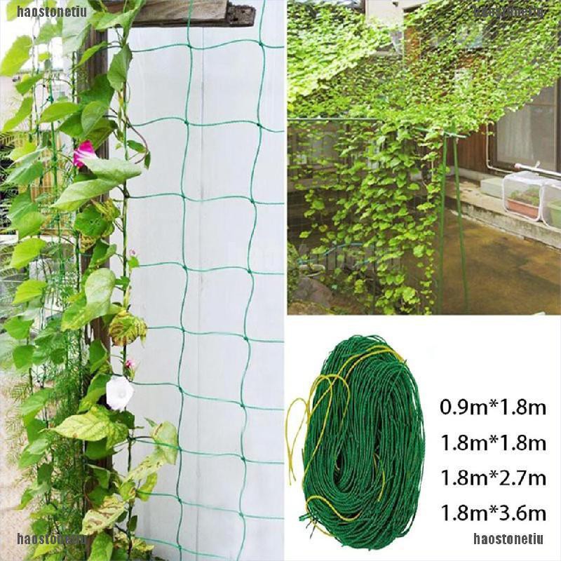 Lưới Trồng Cây Dây Leo