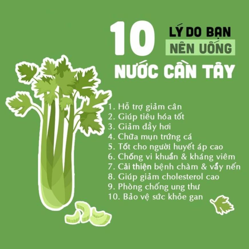 (Bán sỉ) Túi bột cần tây hữu cơ nguyên chất sấy lạnh Dalahouse 50g