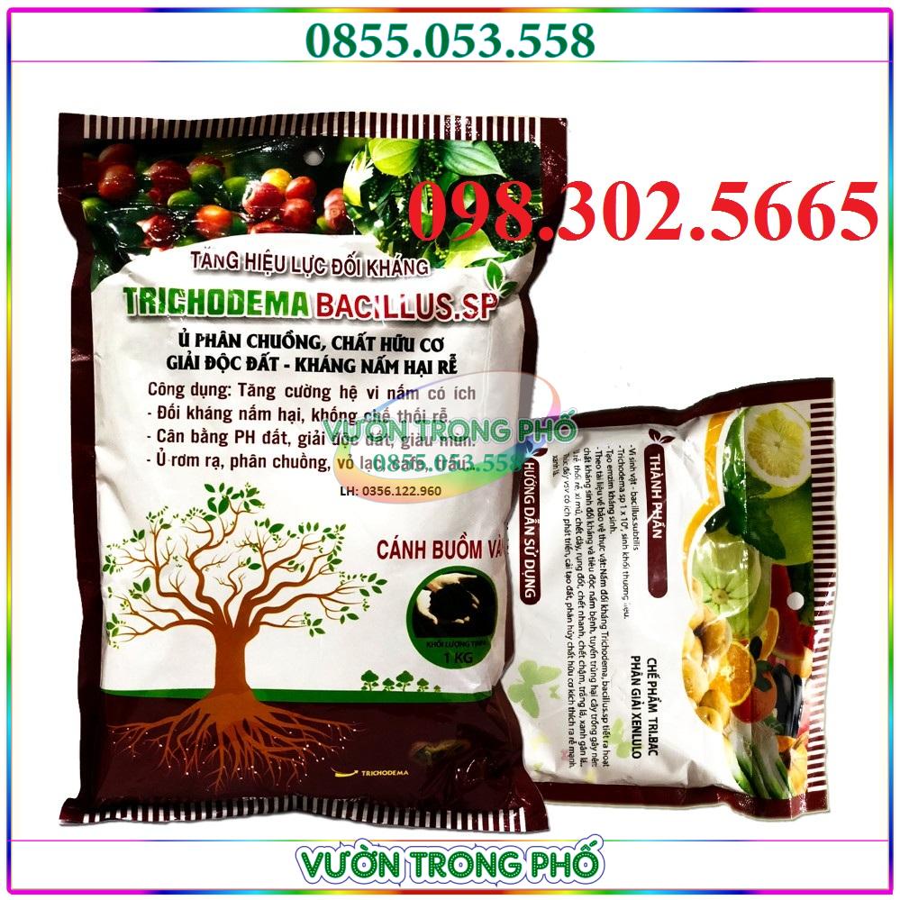 NẤM ĐỐI KHÁNG TRICHODERMA-BACILLUS.SP GÓI 1KG chất lượng.