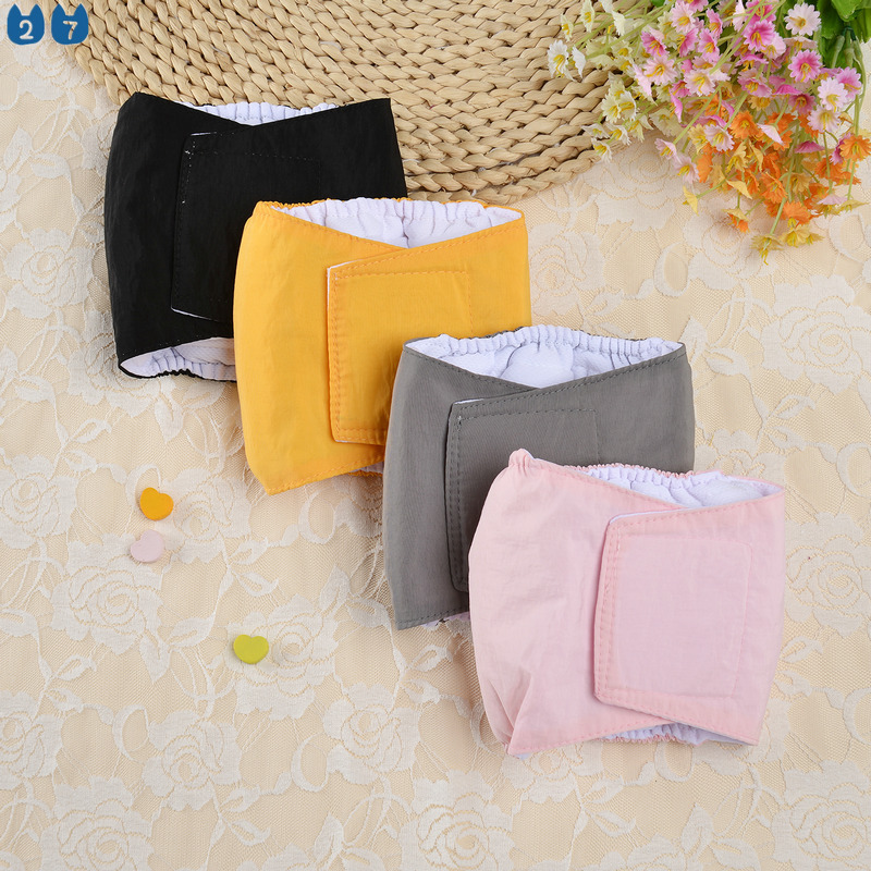 Quần lót sinh lý chống thấm nước dành cho cún cưng nhỏ