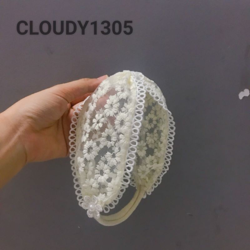 Tuban Daisy hoa cúc mềm mại